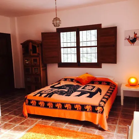 The House Of Oranges * Salares