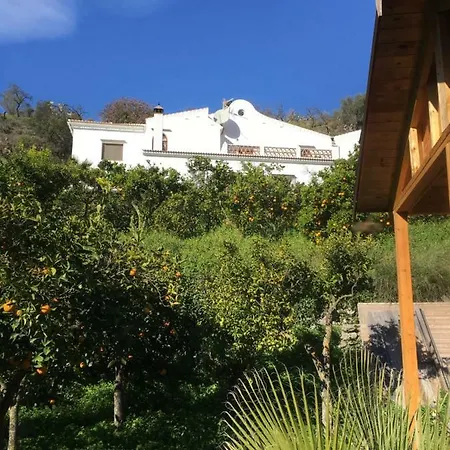 The House Of Oranges * Salares