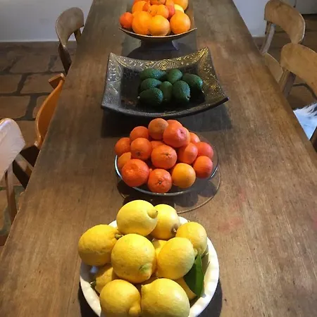 The House Of Oranges *